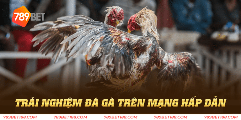 Trải nghiệm đá gà trên mạng hấp dẫn