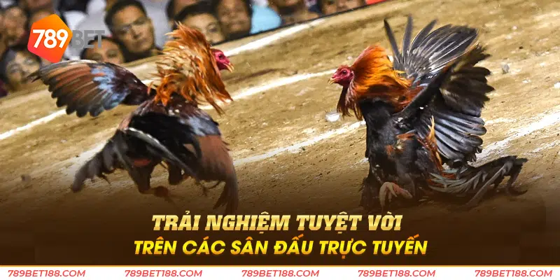 Trải nghiệm tuyệt vời trên các sân đấu trực tuyến